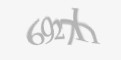 Защитный код